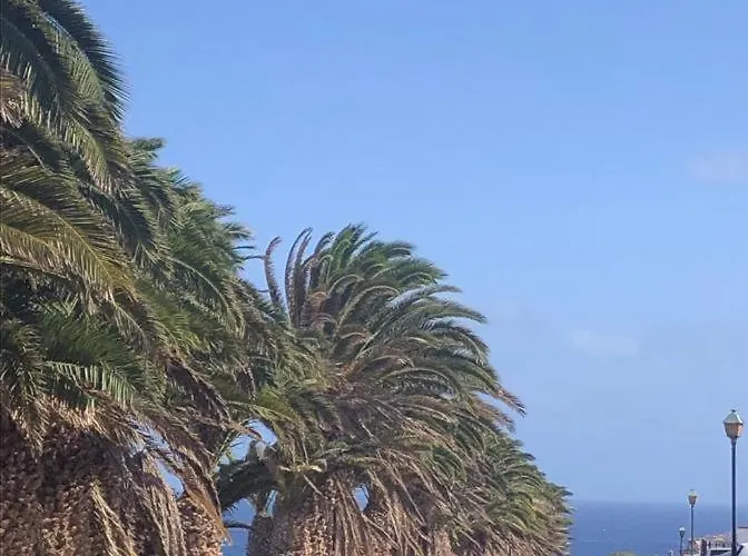 Blue Daire Costa De Antigua